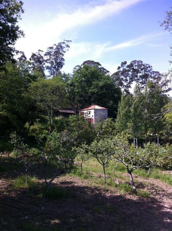 Eira Das Carvalhas Penafiel Kamer foto